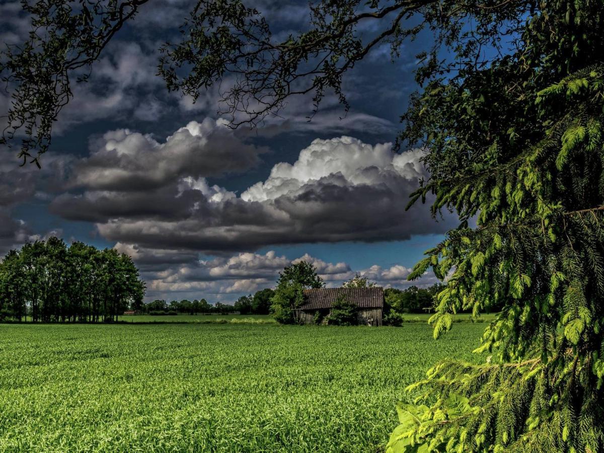 Staying In A Thatched Barn With Bedroom Achterhoek Geesteren  Buitenkant foto